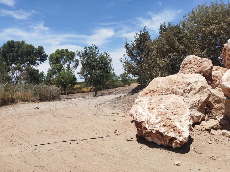 קובץ:2025-05-20T13 26 27.425082890775.jpg