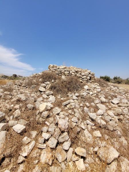 קובץ:2025-05-20T13 28 50.62314456900.jpg