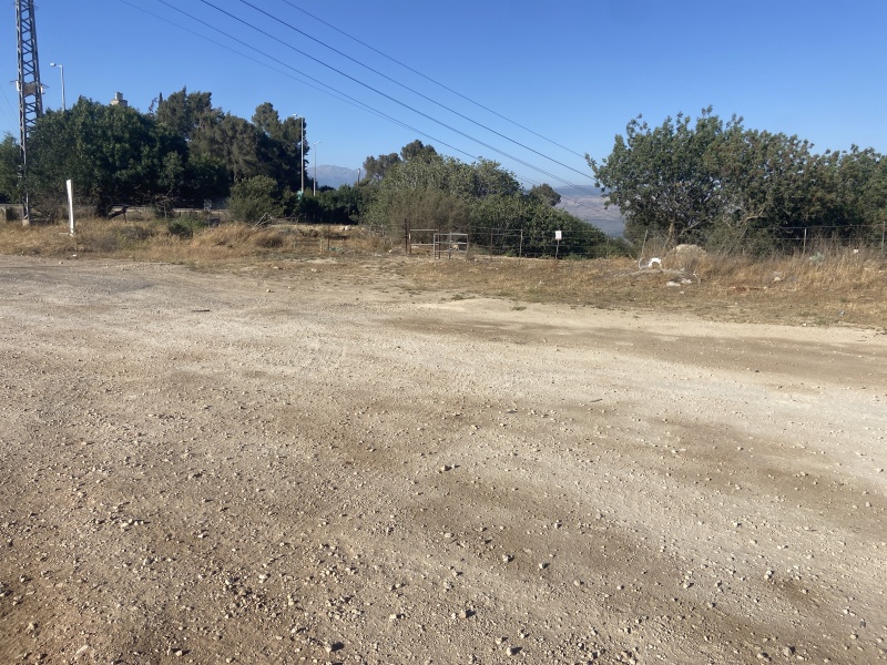 קובץ:2025-05-20T17 38 07.849151421179.jpg