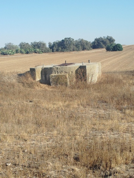 קובץ:2025-05-20T17 48 45.759695761356.jpg