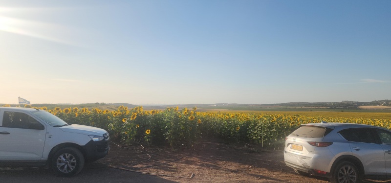 קובץ:2025-05-20T18 21 02.423229372095.jpg