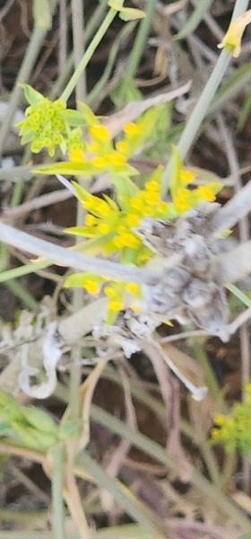 קובץ:2025-05-21T09 53 47.222096481542.jpg