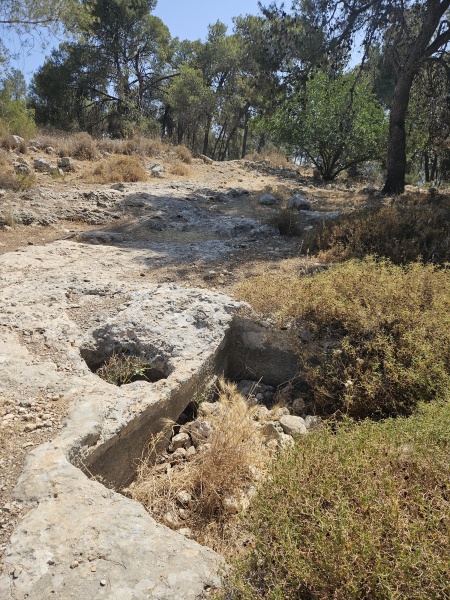 קובץ:2025-05-21T10 07 12.906164812437.jpg