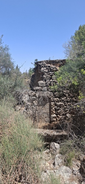 קובץ:2025-05-21T11 40 36.020675391599.jpg