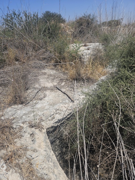 קובץ:2025-05-21T11 44 35.724720914642.jpg