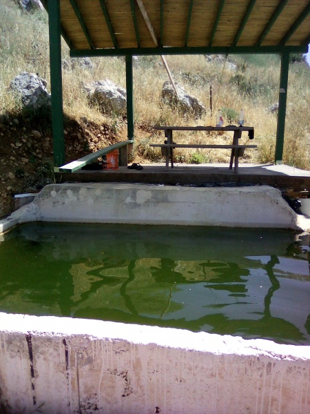 קובץ:2025-05-21T14 19 10.867799148728.jpg