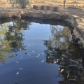 תמונה ממוזערת לגרסה מתאריך 11:54, 21 במאי 2025