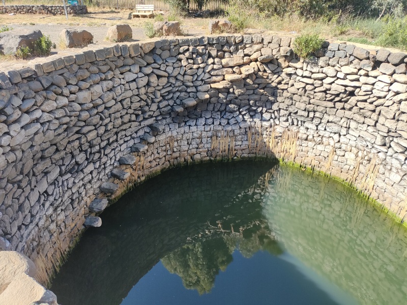 קובץ:2025-05-21T16 21 12.646005732617.jpg