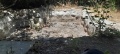 תמונה ממוזערת לגרסה מתאריך 08:55, 22 במאי 2025
