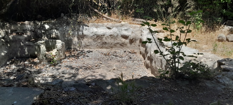 קובץ:2025-05-22T11 51 16.918396477138.jpg