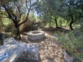 תמונה ממוזערת לגרסה מתאריך 03:01, 23 במאי 2025