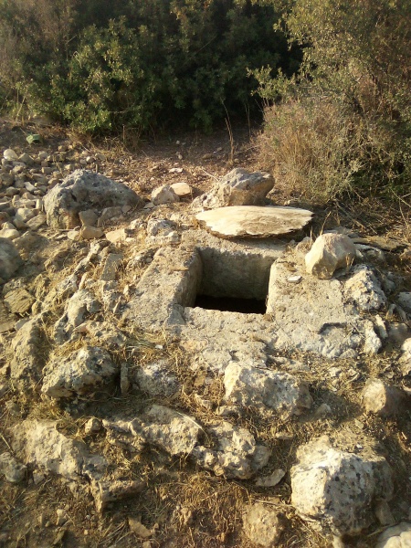 קובץ:2025-05-22T18 36 22.090884324397.jpg