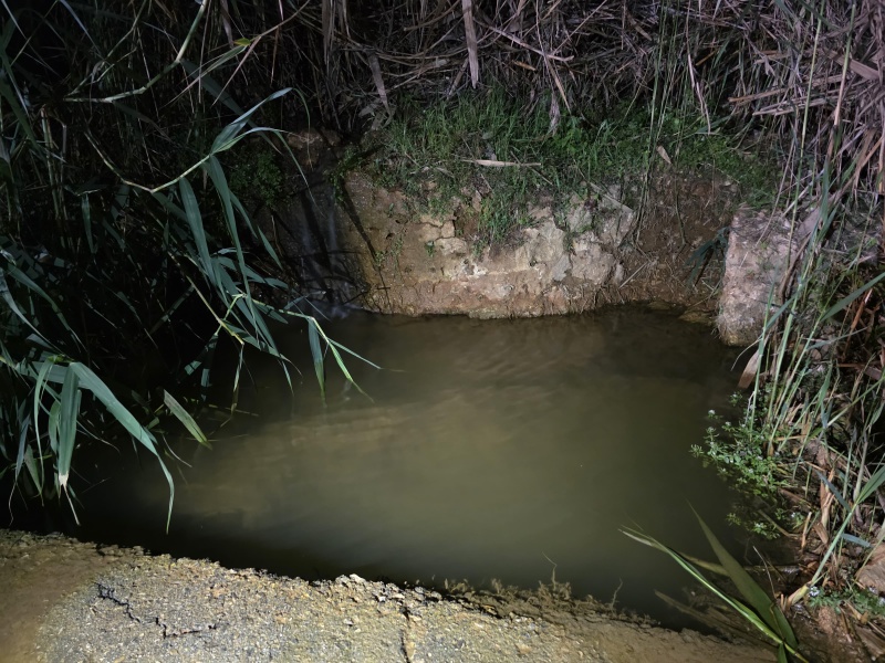 קובץ:2025-05-23T00 25 12.85180735629.jpg