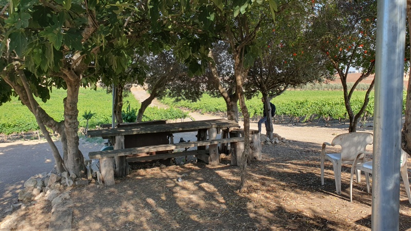 קובץ:2025-05-23T17 03 44.608064604225.jpg