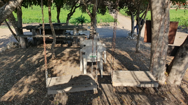 קובץ:2025-05-23T17 04 06.318165902458.jpg