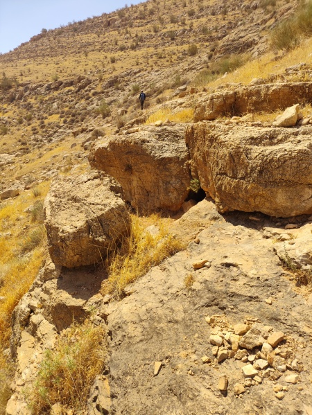 קובץ:2025-05-24T10 37 52.775472429045.jpg