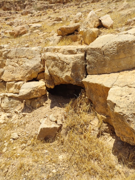 קובץ:2025-05-24T11 50 35.298878538749.jpg