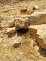 תמונה ממוזערת לגרסה מתאריך 08:34, 24 במאי 2025