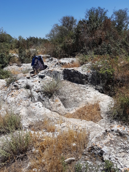 קובץ:2025-05-24T13 49 13.006666636821.jpg