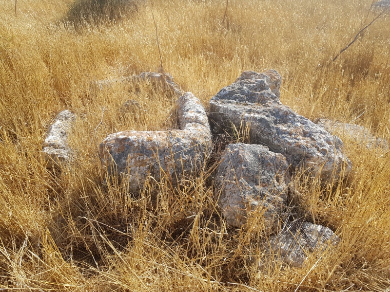 קובץ:2025-05-24T17 04 07.782580251407.jpg
