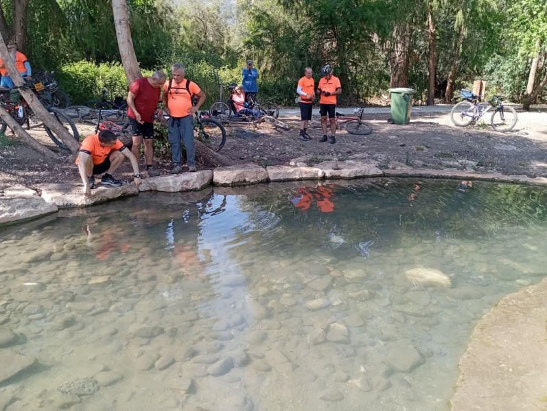 קובץ:2025-05-24T19 35 40.751417443974.jpg