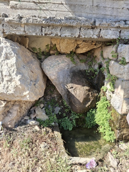 קובץ:2025-05-24T23 16 16.815211509372.jpg
