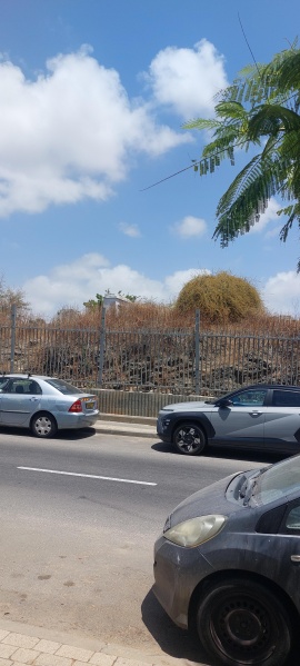קובץ:2025-05-27T13 20 08.824677498346.jpg
