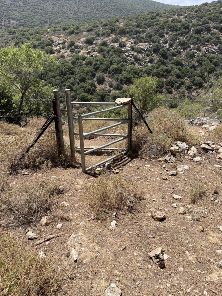 קובץ:2025-05-27T13 40 28.997913165741.jpg