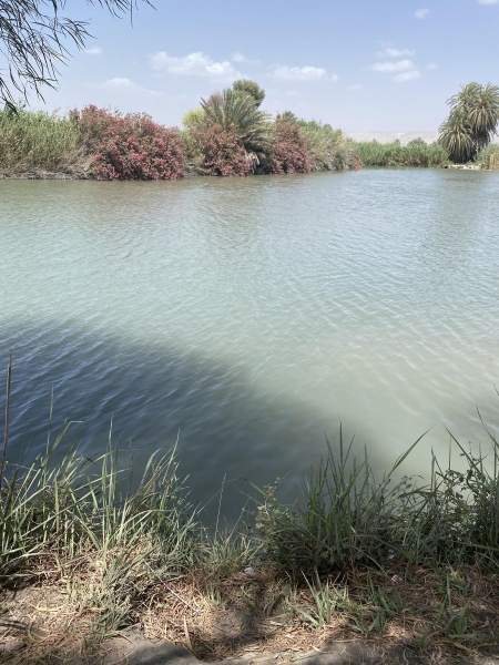 קובץ:2025-05-27T13 51 46.534690635709.jpg