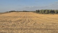 תמונה ממוזערת לגרסה מתאריך 14:57, 27 במאי 2025