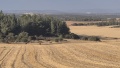 תמונה ממוזערת לגרסה מתאריך 14:58, 27 במאי 2025
