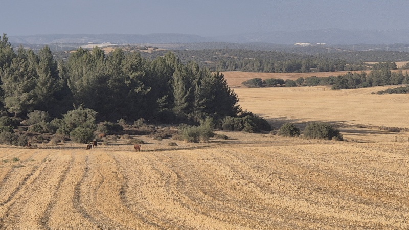 קובץ:2025-05-27T18 19 50.86588178425.jpg