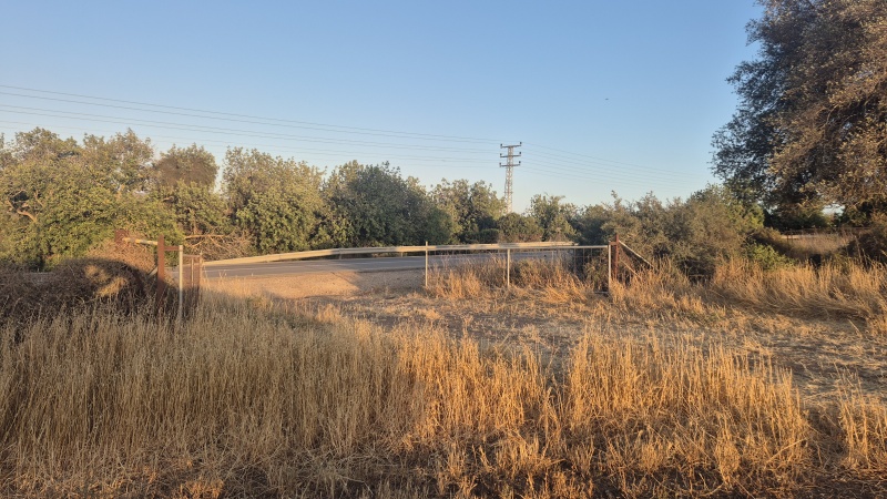 קובץ:2025-05-27T19 12 44.327472708119.jpg