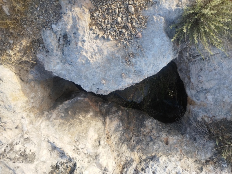 קובץ:2025-05-28T06 57 12.78458939606.jpg