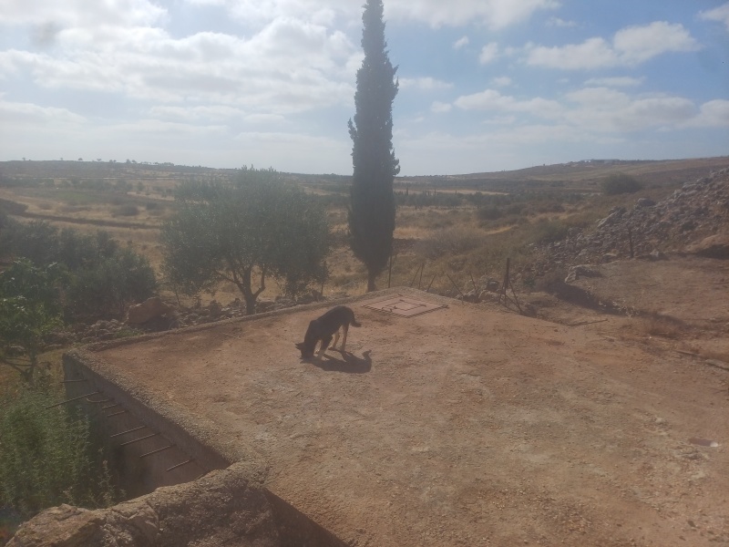 קובץ:2025-05-28T08 49 47.698397383470.jpg