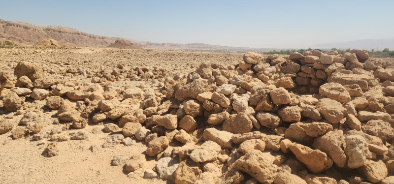 קובץ:2025-05-28T09 55 03.989339941990.jpg