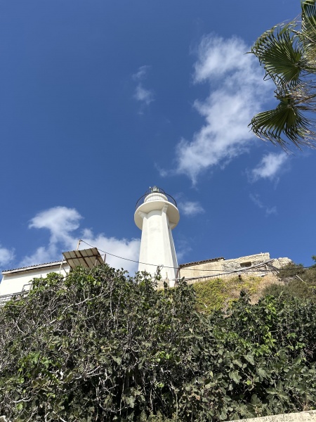 קובץ:2025-05-28T16 45 20.638916360236.jpg