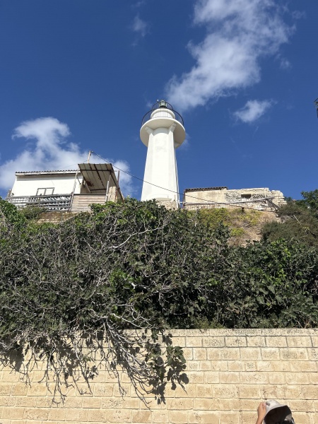 קובץ:2025-05-28T16 45 46.391536243927.jpg