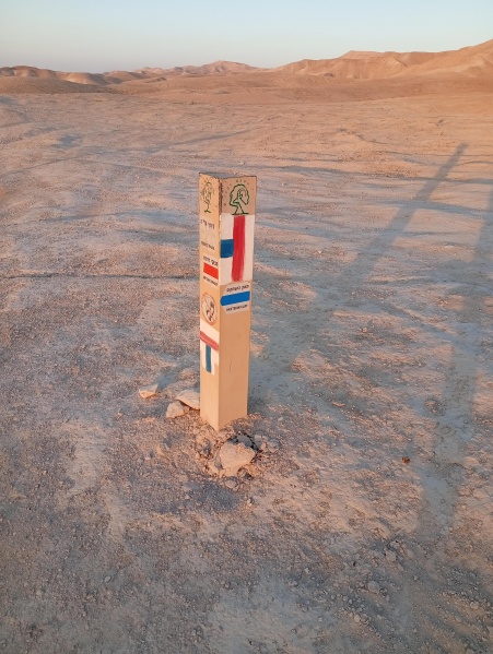 קובץ:2025-05-30T05 50 32.656362578151.jpg