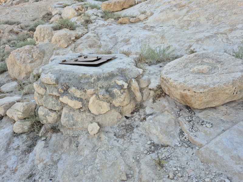 קובץ:2025-05-30T18 20 49.578353689798.jpg