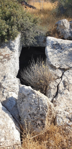 קובץ:2025-05-31T17 04 49.188145660415.jpg