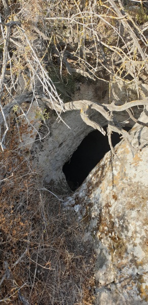 קובץ:2025-05-31T17 33 01.978828616040.jpg