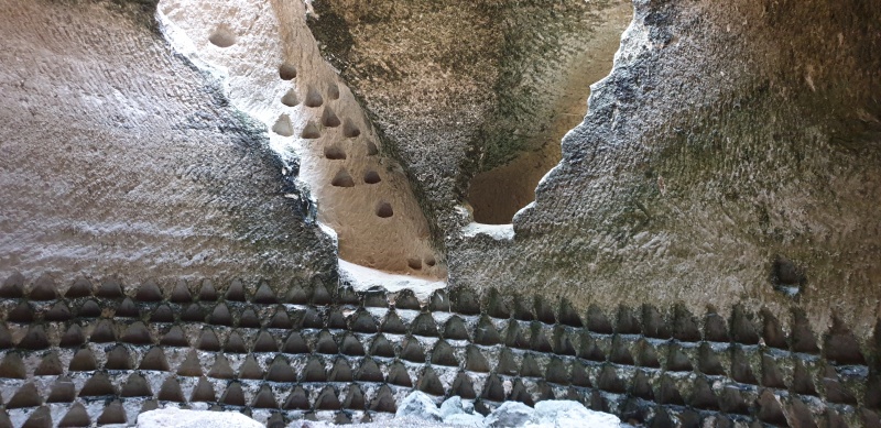 קובץ:2025-05-31T17 33 14.473458144344.jpg