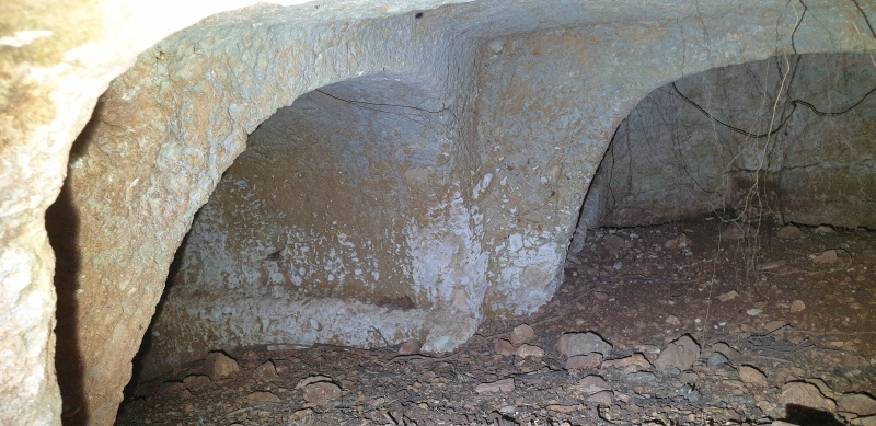 קובץ:2025-06-01T11 39 14.399965676143.jpg