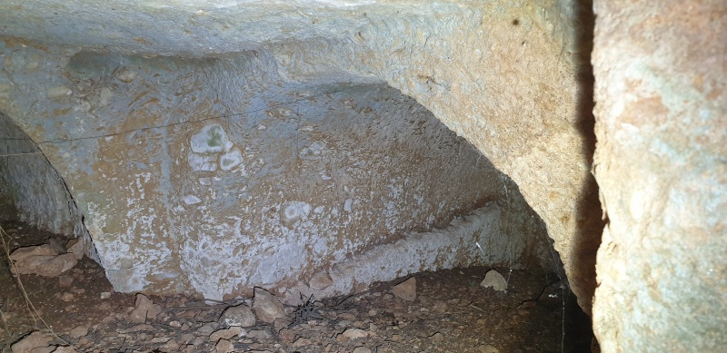קובץ:2025-06-01T11 39 18.293160702226.jpg