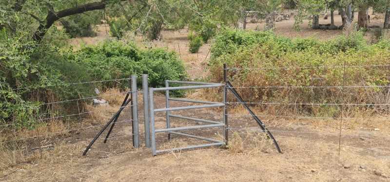 קובץ:2025-06-01T13 17 20.395422384308.jpg