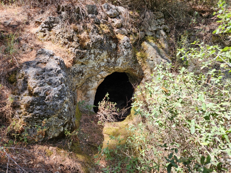 קובץ:2025-06-02T10 33 27.39410162690.jpg