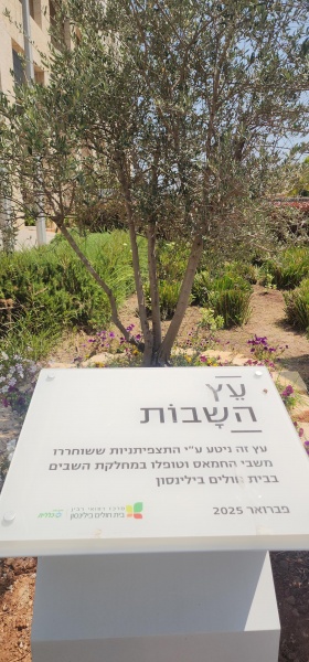 קובץ:2025-06-04T14 22 25.619077531326.jpg