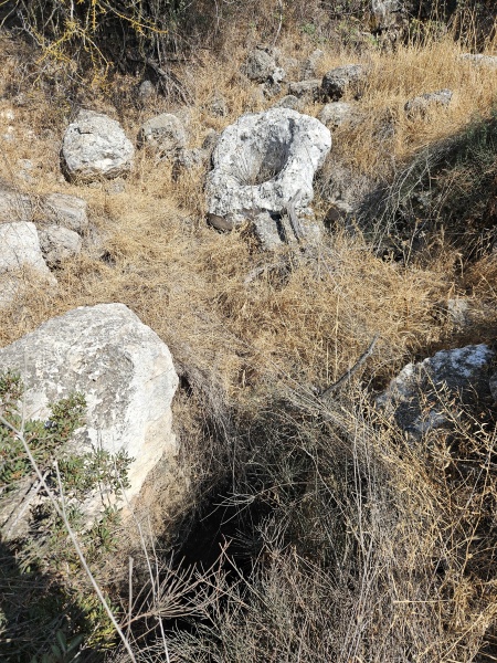 קובץ:2025-06-04T15 23 47.444810418069.jpg