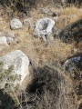 תמונה ממוזערת לגרסה מתאריך 12:01, 4 ביוני 2025